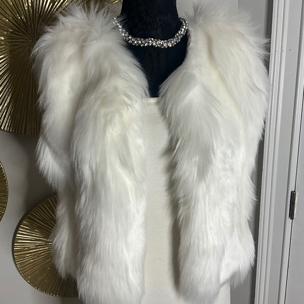 Gorgeous Faux Fur Vest